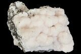 Manganoan Calcite and Kutnohorite Association - Fluorescent! #169800-1